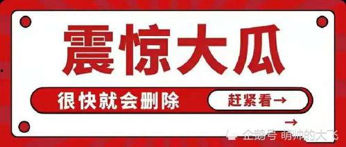 吃瓜网娱乐八卦图,娱乐圈最新八卦图背后的惊人真相
